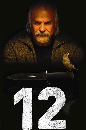 12 (2007) movie poster