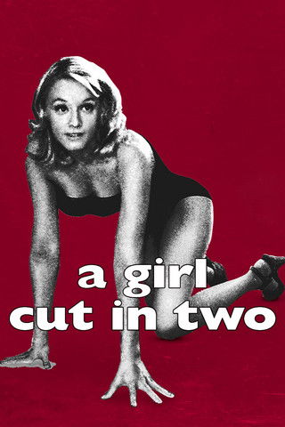 A Girl Cut in Two (2007) movie poster