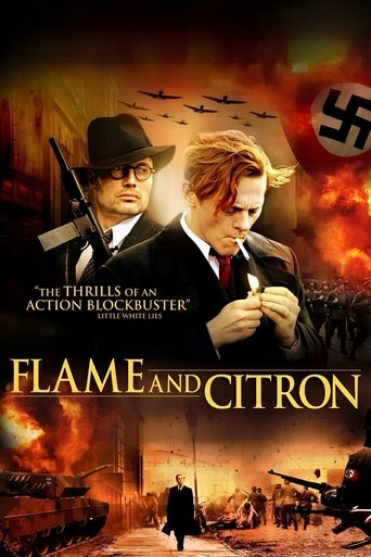 Flame & Citron (2008) movie poster