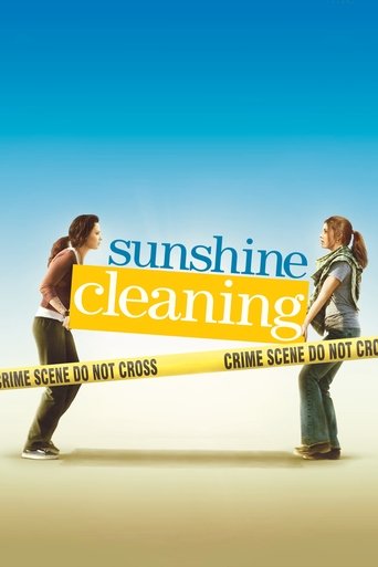 Sunshine Cleaning (2008) movie poster