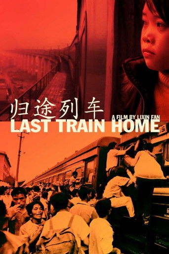 Last Train Home (2009) movie poster