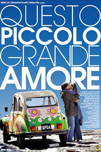 Questo piccolo grande amore (2009) movie poster