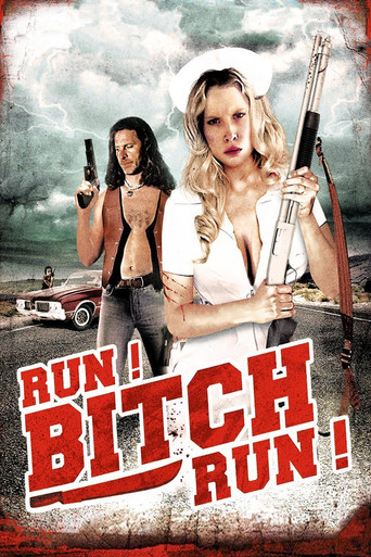 Run! Bitch Run! (2009) movie poster