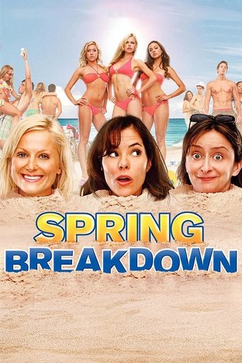 Spring Breakdown (2009) movie poster