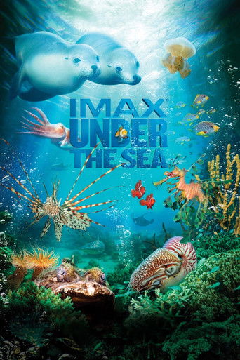 Under the Sea 3D (2009) movie poster