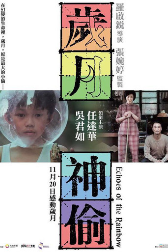 Echoes of the Rainbow (2010) movie poster