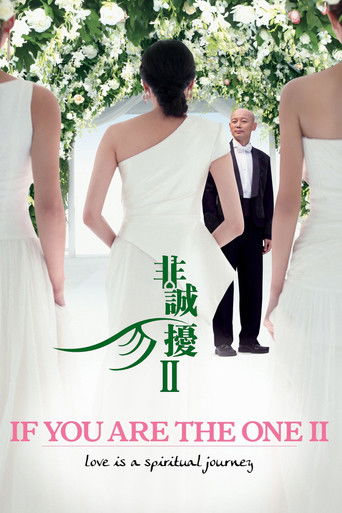 If You Are the One 2 (2010) movie poster