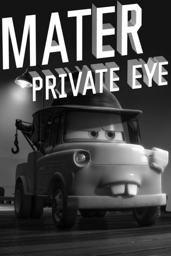 Mater Private Eye (2010) movie poster