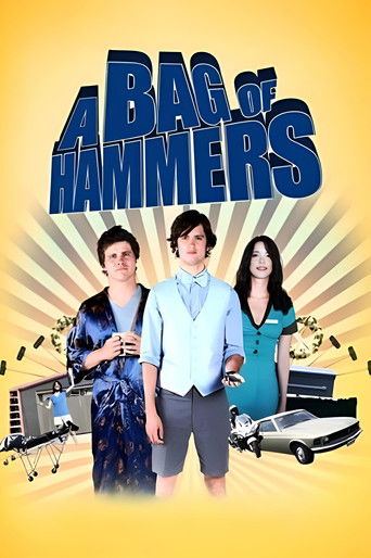 A Bag of Hammers (2011) movie poster