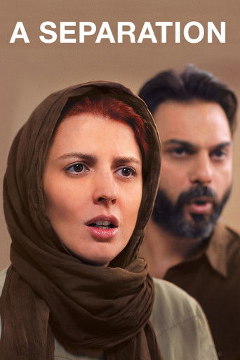 A Separation (2011) movie poster