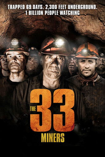 Atacama's 33 (2011) movie poster