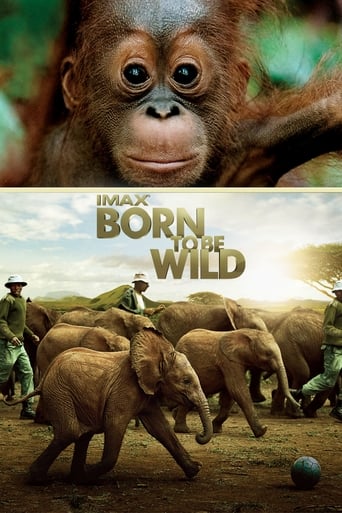 Born to Be Wild (2011) movie poster