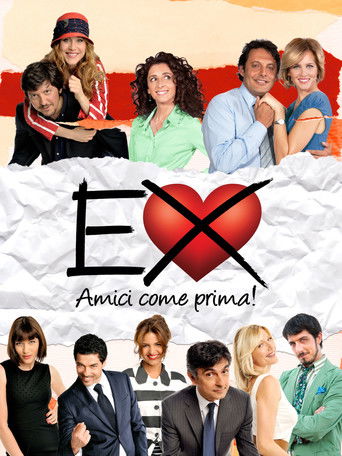Ex 2: Still Friends (2011) movie poster