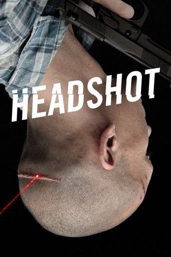 Headshot (2011) movie poster