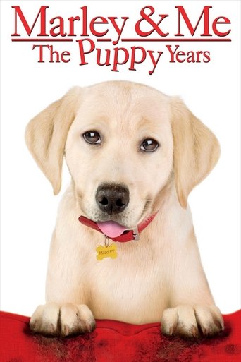 Marley & Me: The Puppy Years (2011) movie poster
