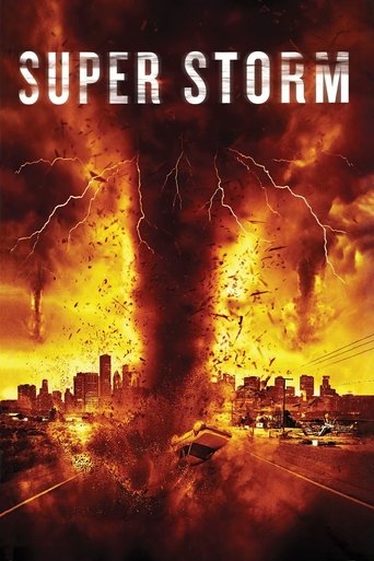 Mega Cyclone (2011) movie poster