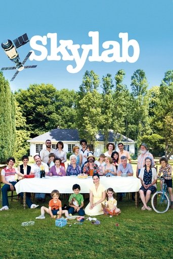 Skylab (2011) movie poster