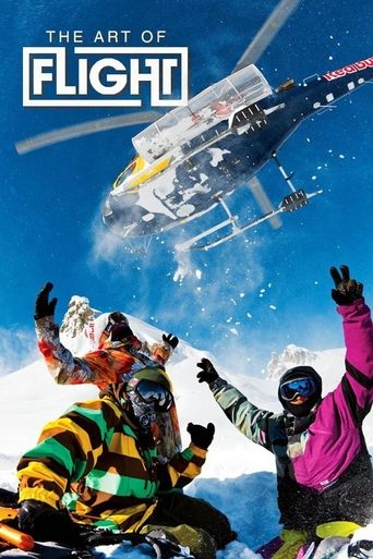 The Art of Flight (2011) movie poster
