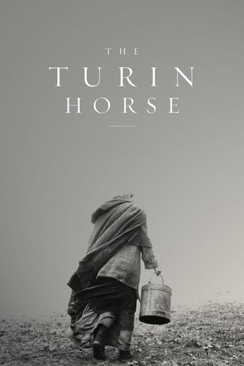 The Turin Horse (2011) movie poster