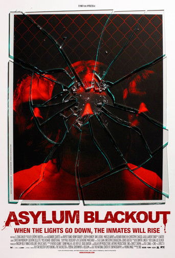 Asylum Blackout (2012) movie poster