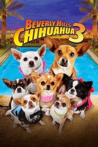 Beverly Hills Chihuahua 3: Viva la Fiesta! (2012) movie poster