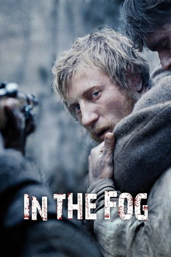 In the Fog (2012) movie poster