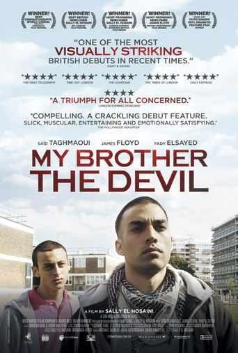 My Brother the Devil (2012) movie poster