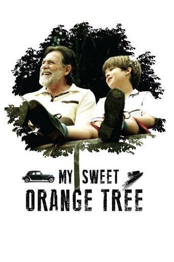 My Sweet Orange Tree (2012) movie poster