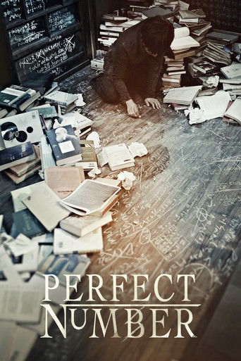 Perfect Number (2012) movie poster