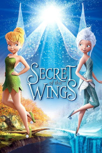 Secret of the Wings (2012) movie poster