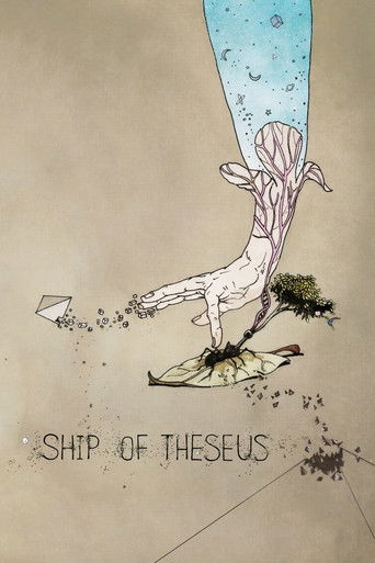 Ship of Theseus (2012) movie poster