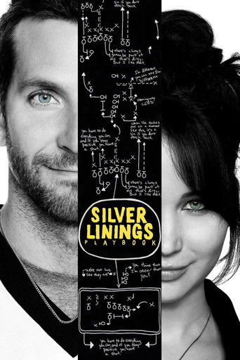 Silver Linings Playbook (2012) movie poster