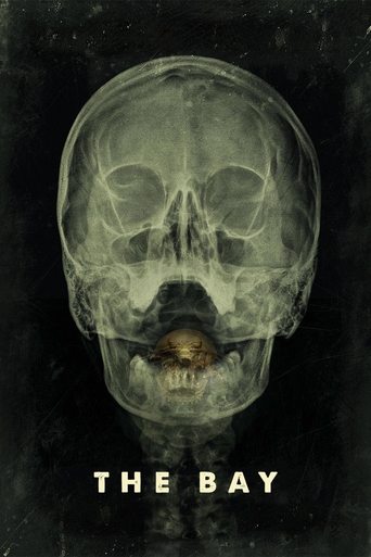 The Bay (2012) movie poster
