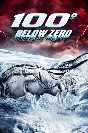 100 Degrees Below Zero (2013) movie poster