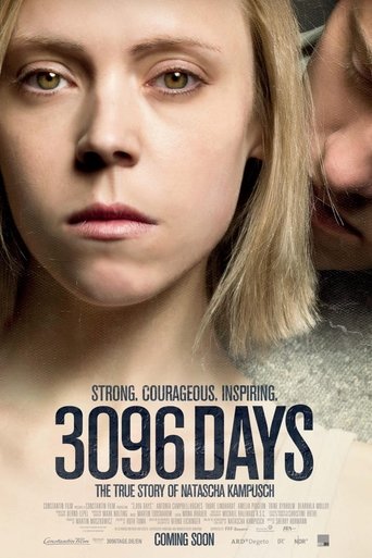 3096 Days (2013) movie poster