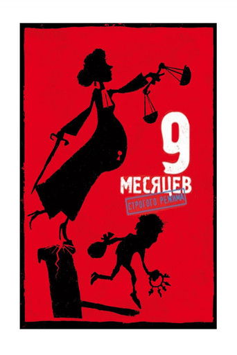 9 Month Stretch (2013) movie poster