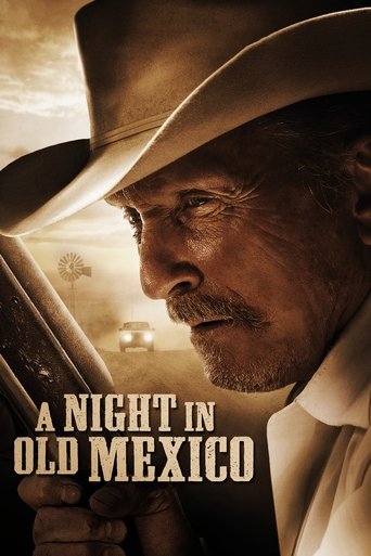 A Night in Old Mexico (2013) movie poster