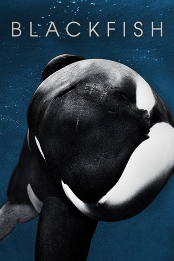 Blackfish (2013) movie poster