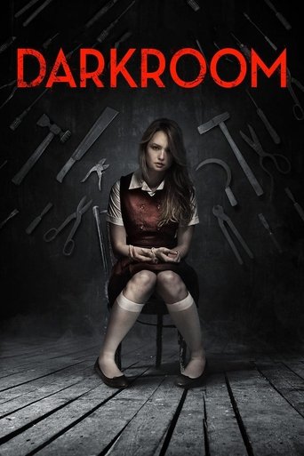 Darkroom (2013) movie poster