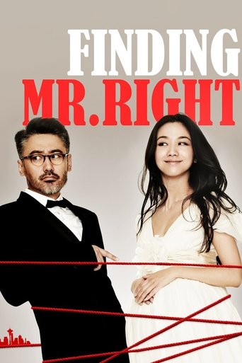 Finding Mr. Right (2013) movie poster