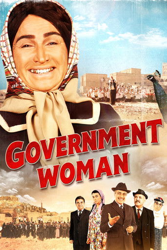 Government Woman (2013) movie poster