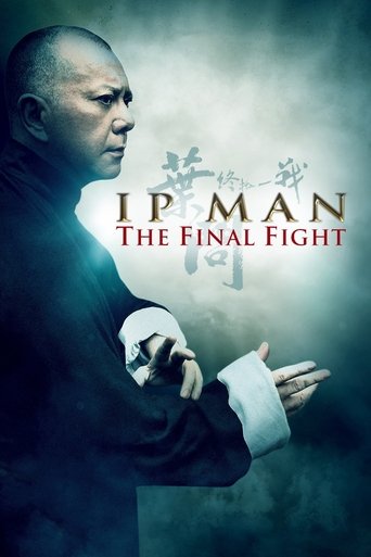 Ip Man: The Final Fight (2013) movie poster