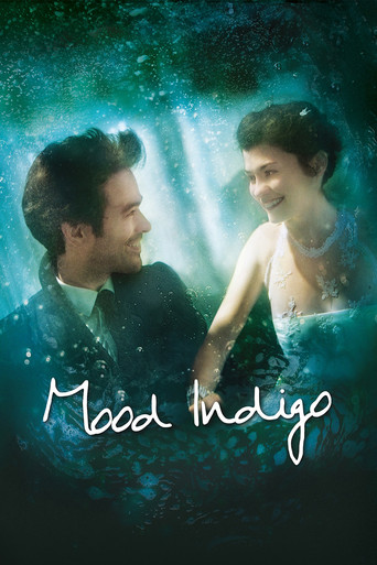 Mood Indigo (2013) movie poster
