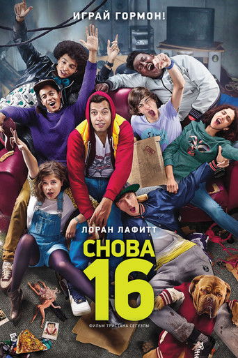 The Adulteen (2013) movie poster