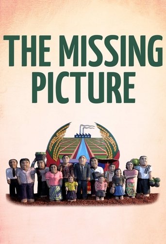The Missing Picture (2013) movie poster