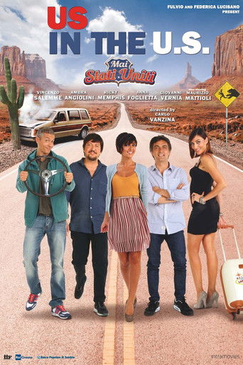 Us in the U.S. (2013) movie poster