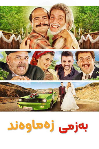 Wedding Association (2013) movie poster