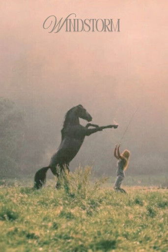 Windstorm (2013) movie poster