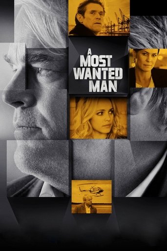 A Most Wanted Man (2014) movie poster