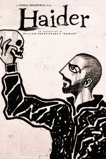 Haider (2014) movie poster